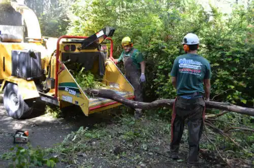 tree services Lake Hamilton